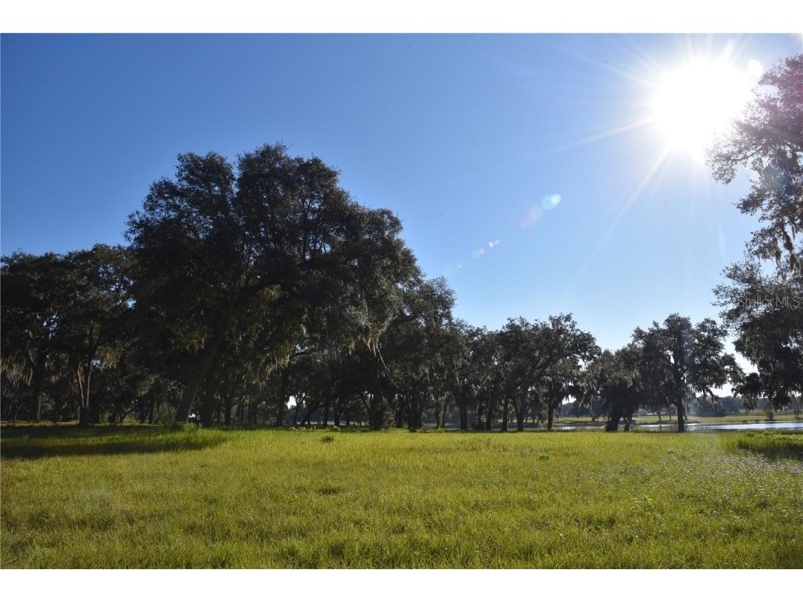 Off Hwy 301 Summerfield FL 34491 OM713548 image10
