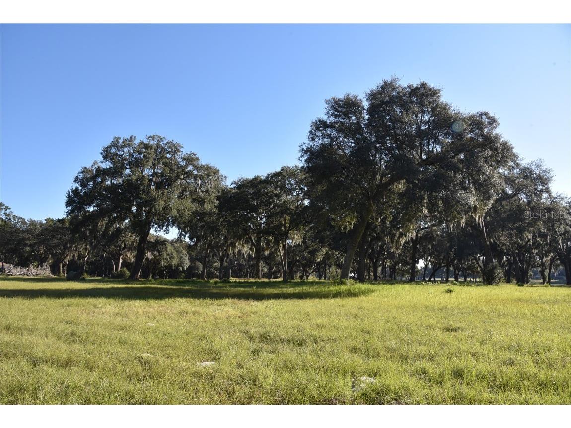 Off Hwy 301 Summerfield FL 34491 OM713548 image11