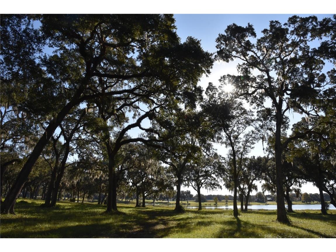 Off Hwy 301 Summerfield FL 34491 OM713548 image12