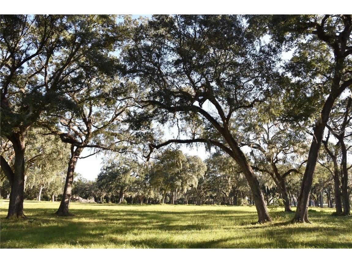 Off Hwy 301 Summerfield FL 34491 OM713548 image13