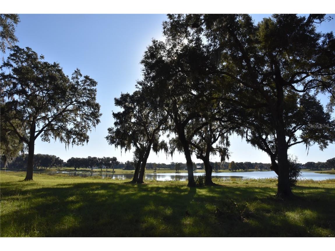 Off Hwy 301 Summerfield FL 34491 OM713548 image14