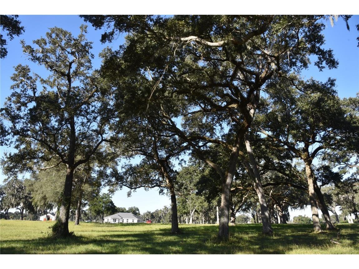 Off Hwy 301 Summerfield FL 34491 OM713548 image15