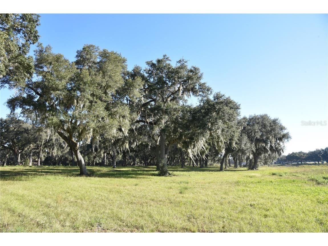 Off Hwy 301 Summerfield FL 34491 OM713548 image16