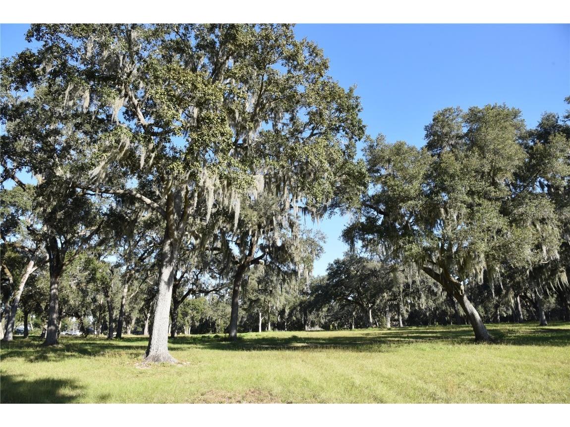 Off Hwy 301 Summerfield FL 34491 OM713548 image17