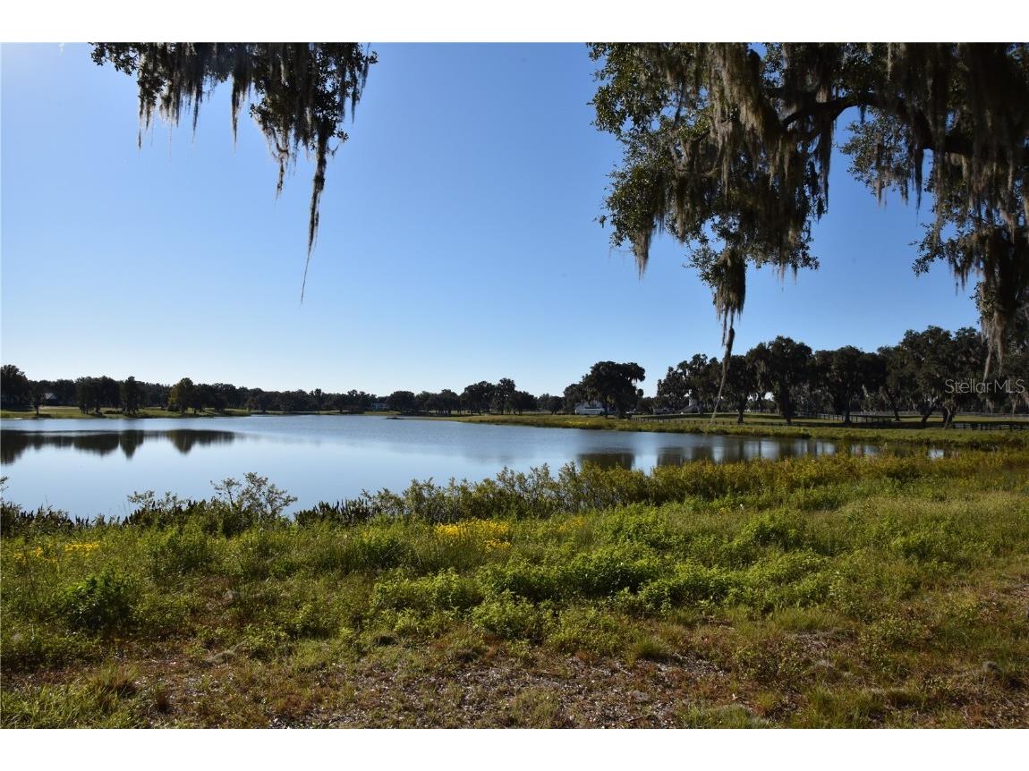 Off Hwy 301 Summerfield FL 34491 OM713548 image18
