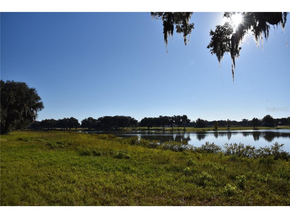 Off Hwy 301 Summerfield FL 34491 OM713548 image19