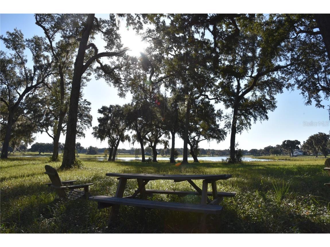 Off Hwy 301 Summerfield FL 34491 OM713548 image2