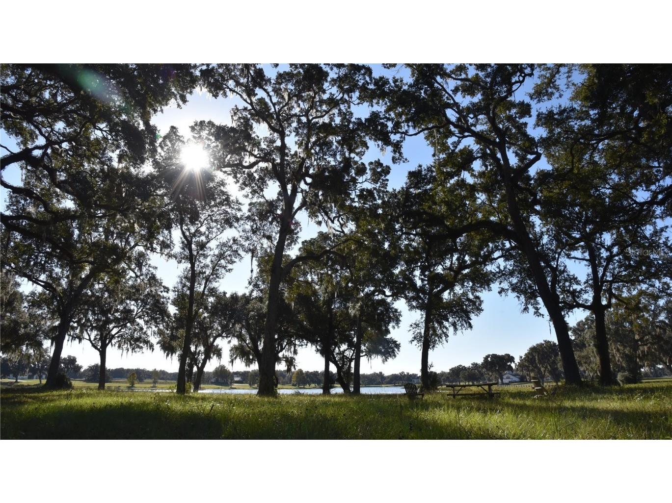 Off Hwy 301 Summerfield FL 34491 OM713548 image20