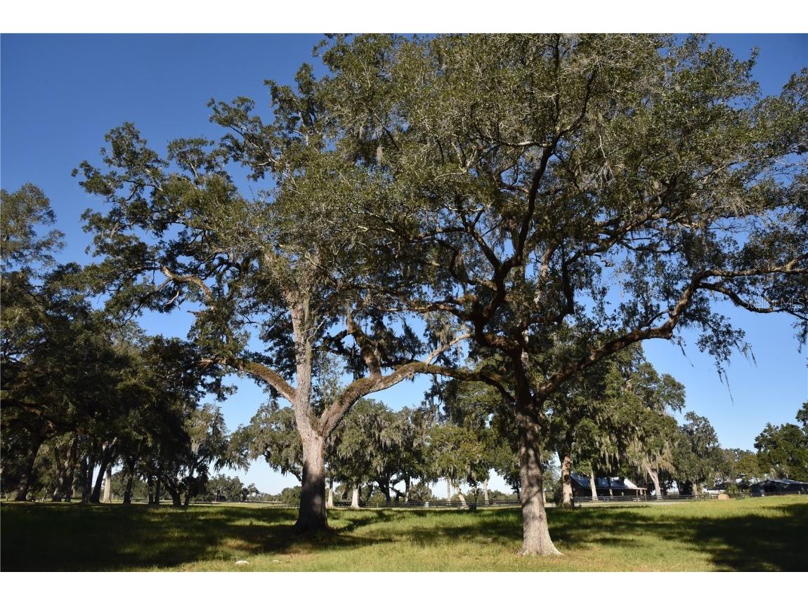 Off Hwy 301 Summerfield FL 34491 OM713548 image21