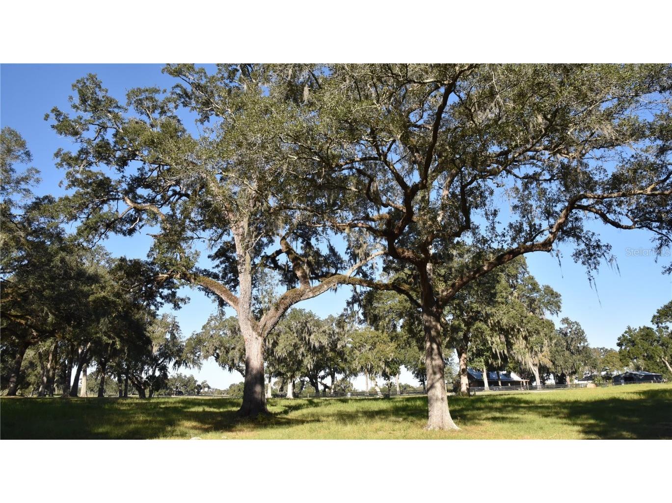 Off Hwy 301 Summerfield FL 34491 OM713548 image22