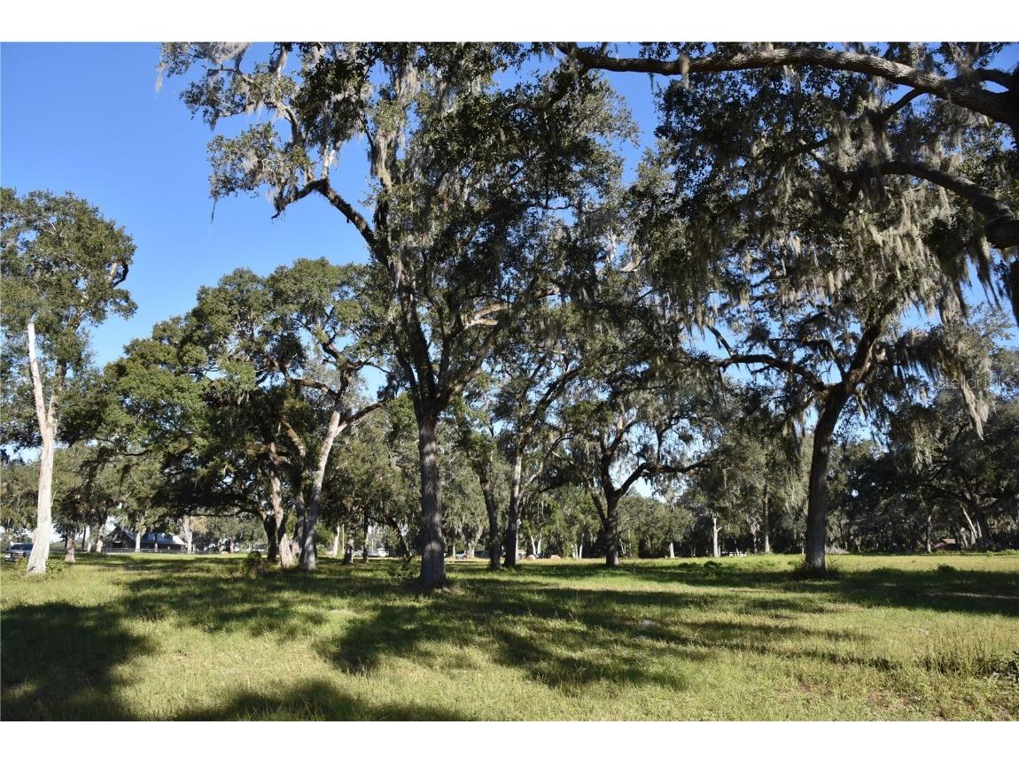 Off Hwy 301 Summerfield FL 34491 OM713548 image23