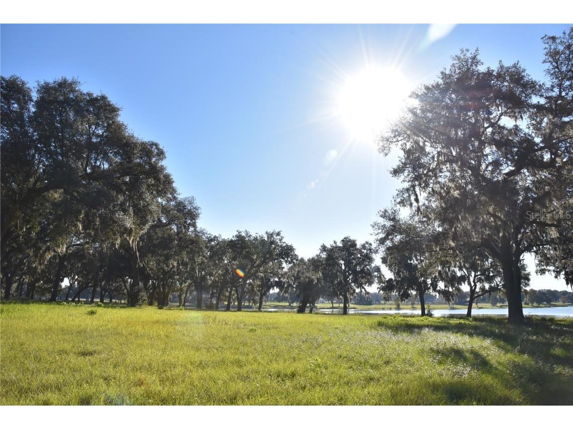 Off Hwy 301 Summerfield FL 34491 OM713548 image24