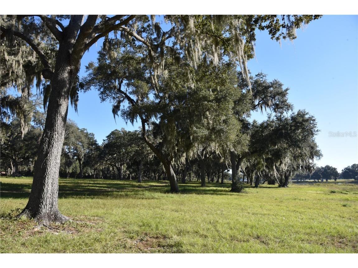 Off Hwy 301 Summerfield FL 34491 OM713548 image25