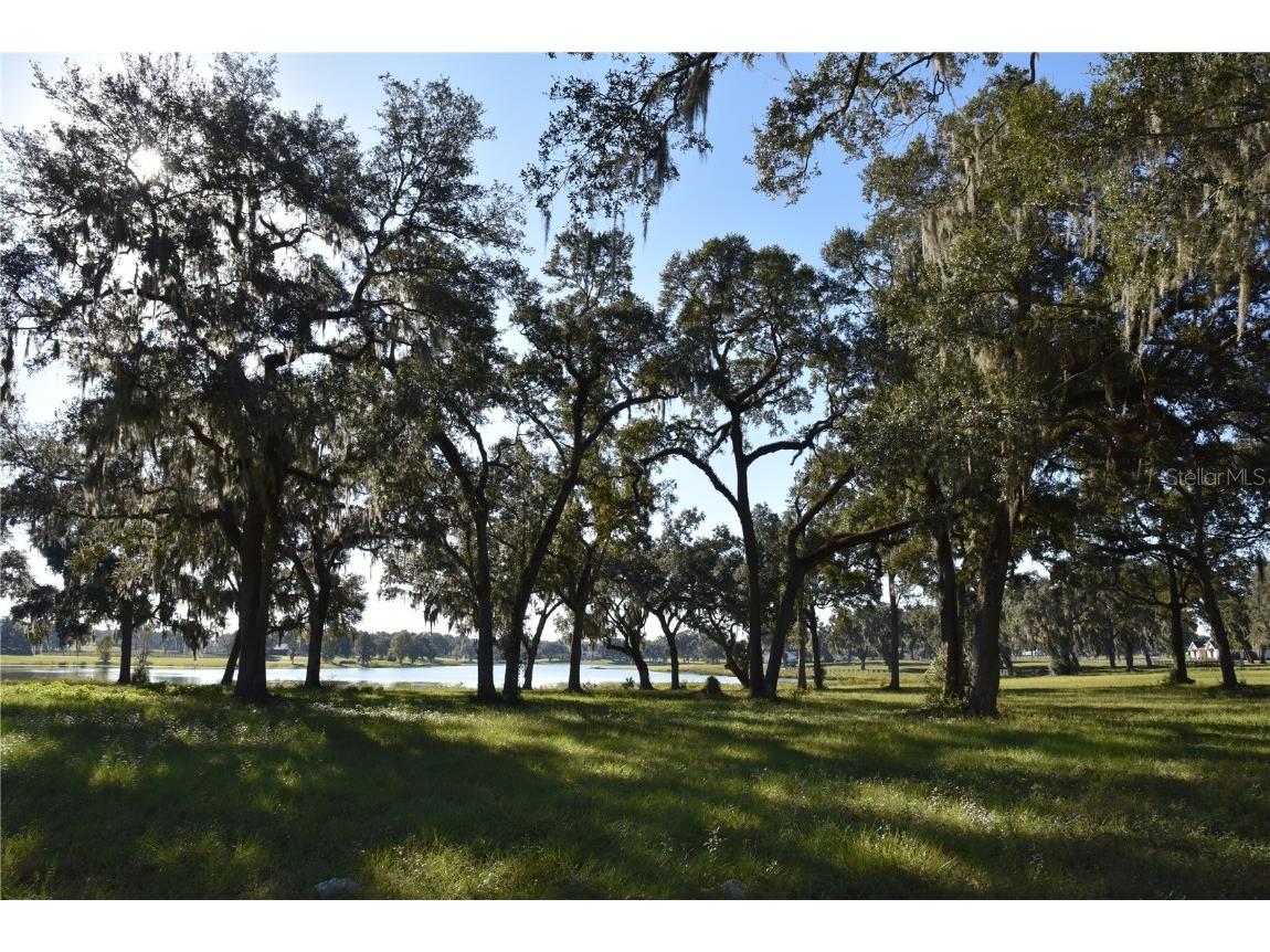 Off Hwy 301 Summerfield FL 34491 OM713548 image27