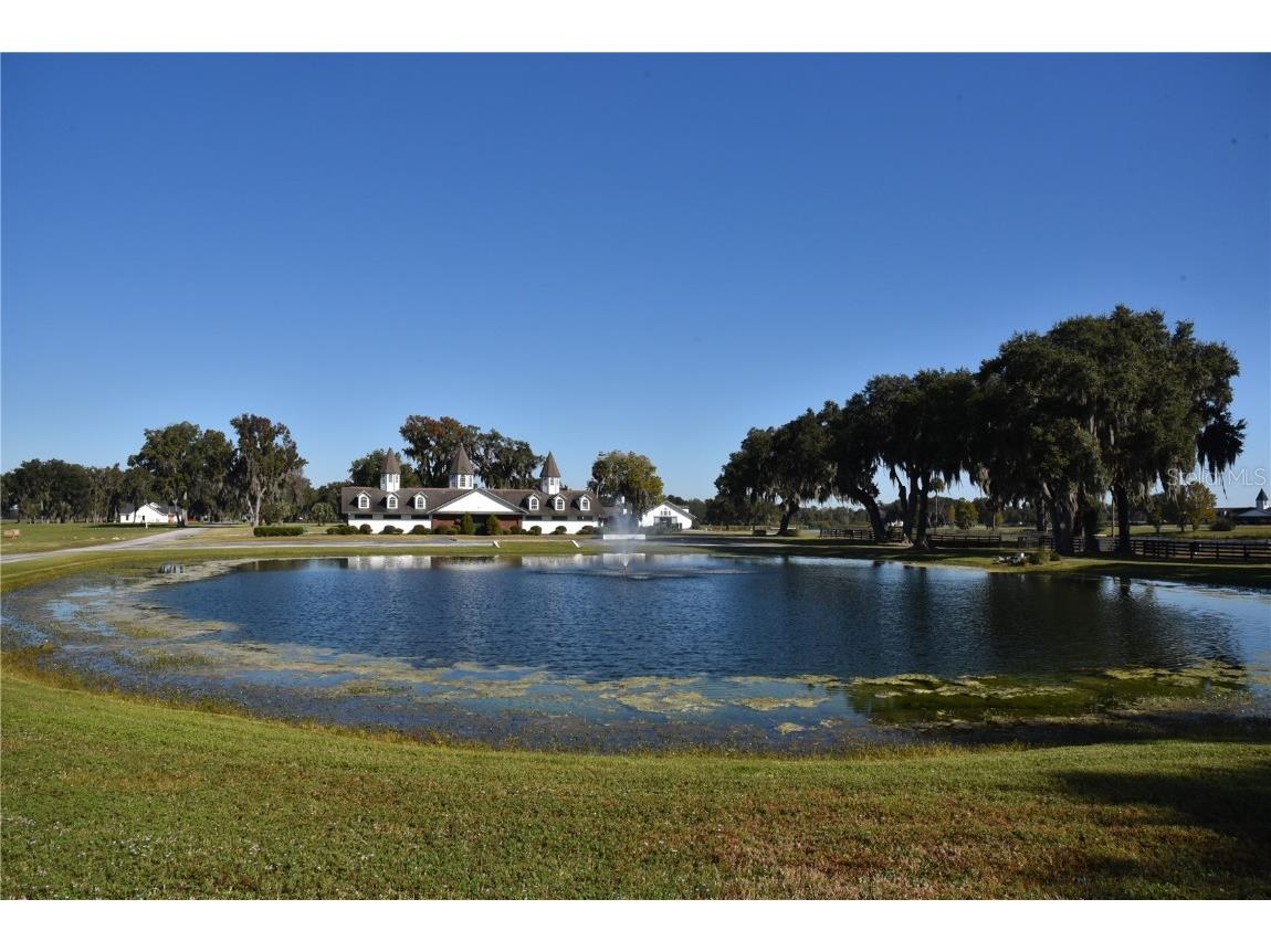 Off Hwy 301 Summerfield FL 34491 OM713548 image29