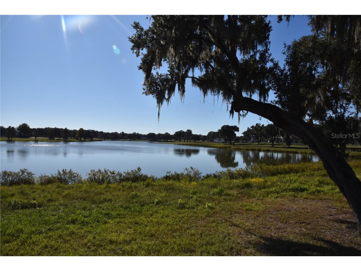 Off Hwy 301 Summerfield FL 34491 OM713548 image3