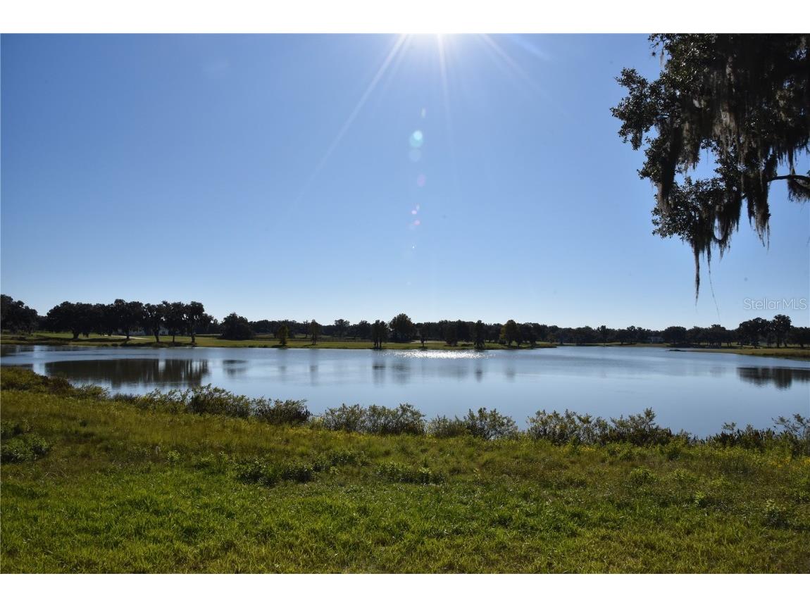 Off Hwy 301 Summerfield FL 34491 OM713548 image4