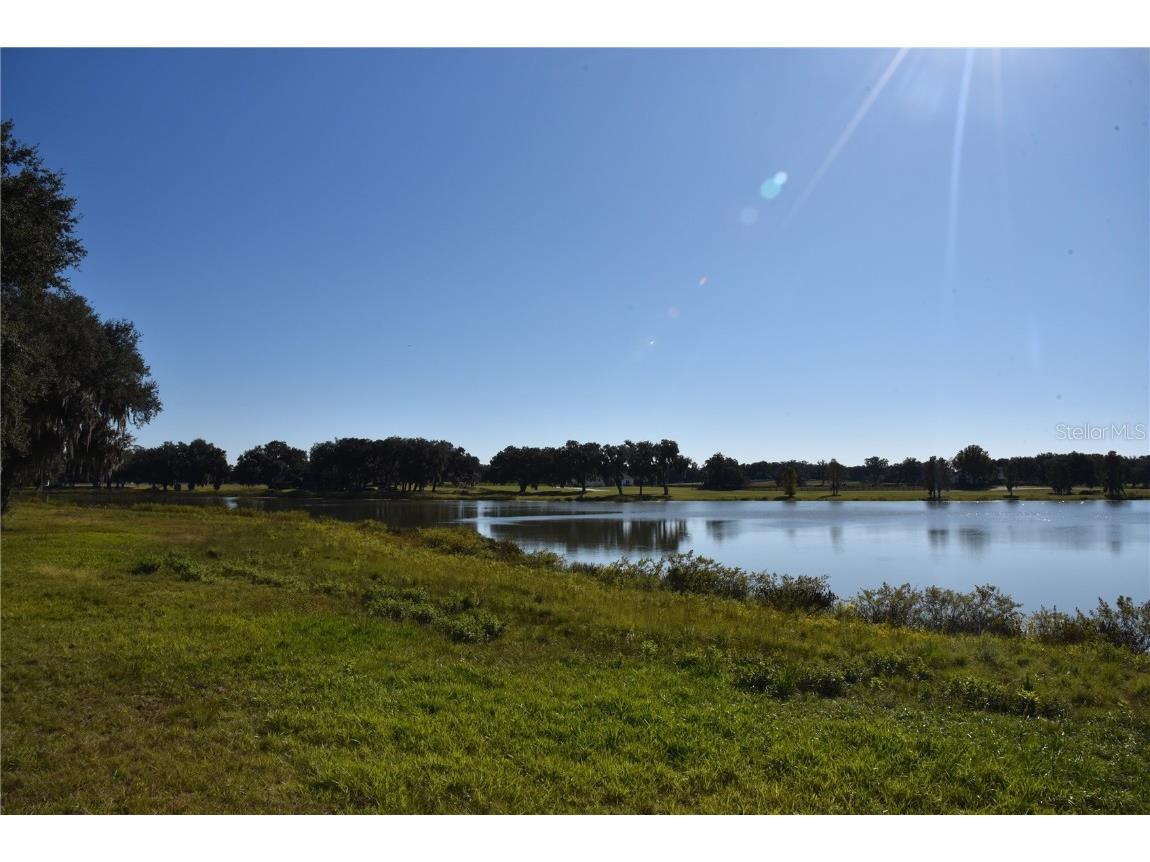 Off Hwy 301 Summerfield FL 34491 OM713548 image5