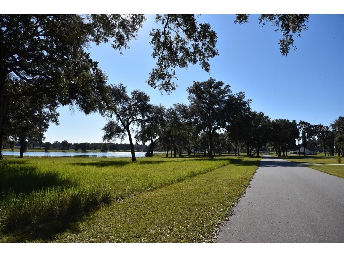 Off Hwy 301 Summerfield FL 34491 OM713548 image8