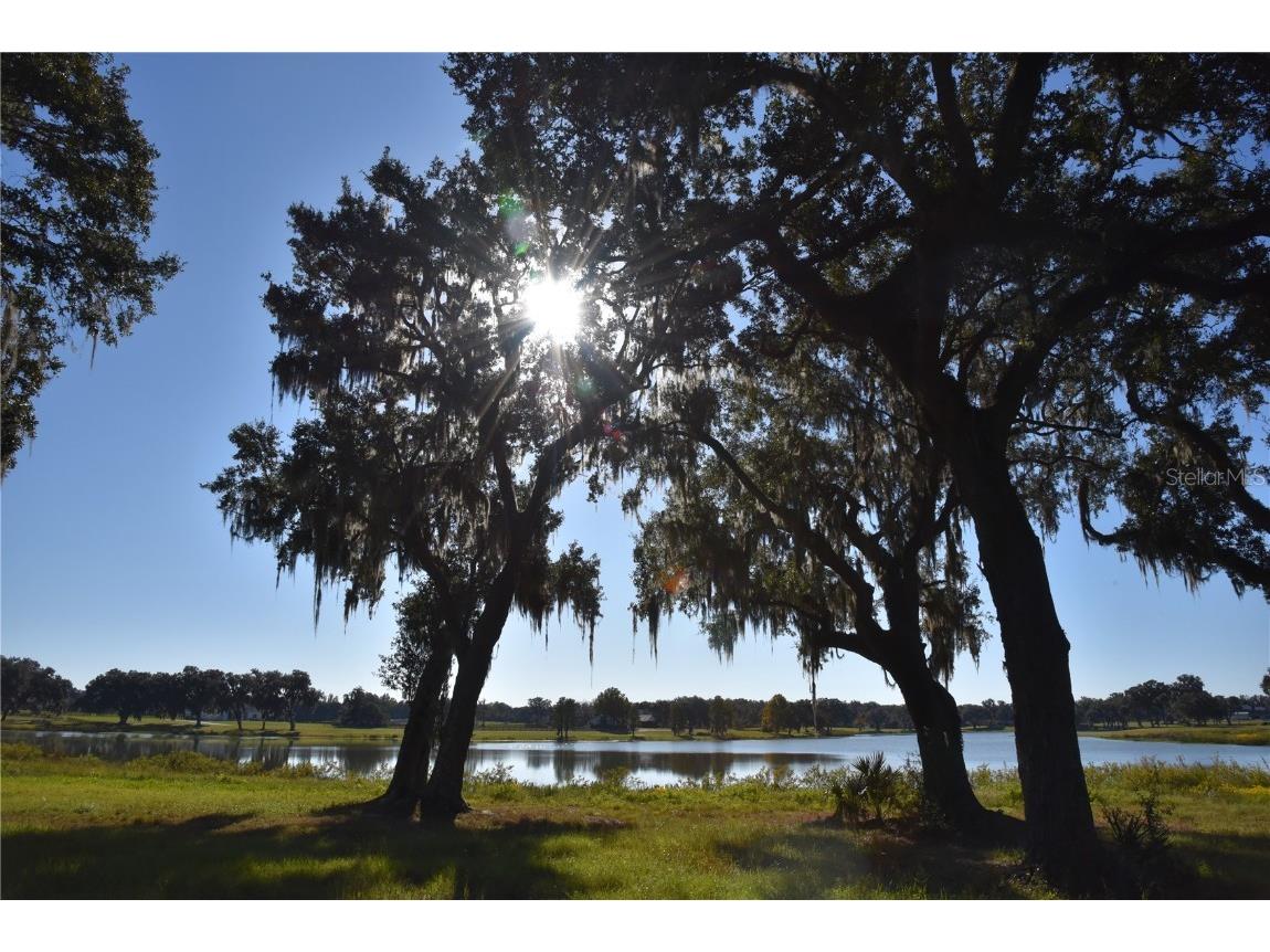 Off Hwy 301 Summerfield FL 34491 OM713548 image9