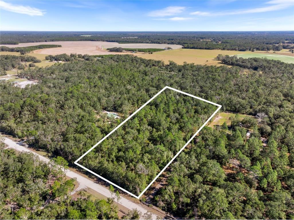 Off Ne 628th St Old Town FL 32680 GC526574 image1