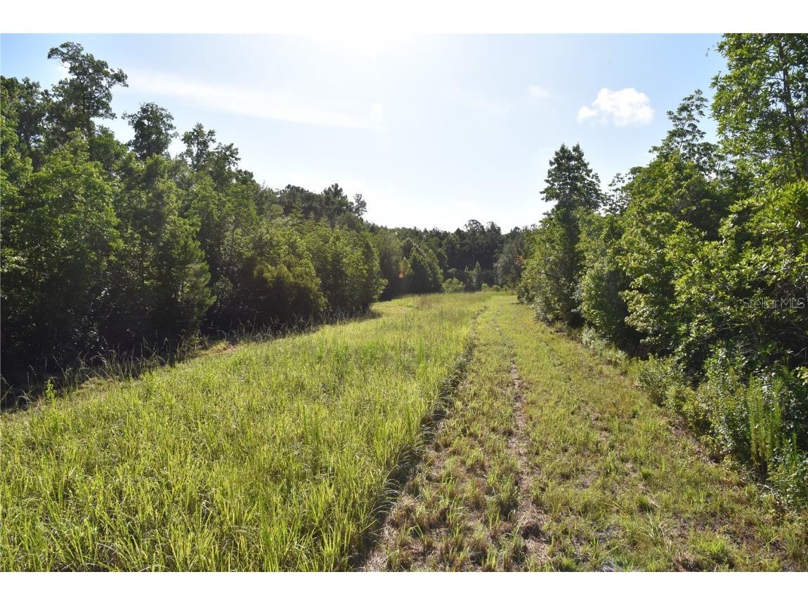 Off Ne 67 Th Ave Gainesville FL 32609 OM704545 image10