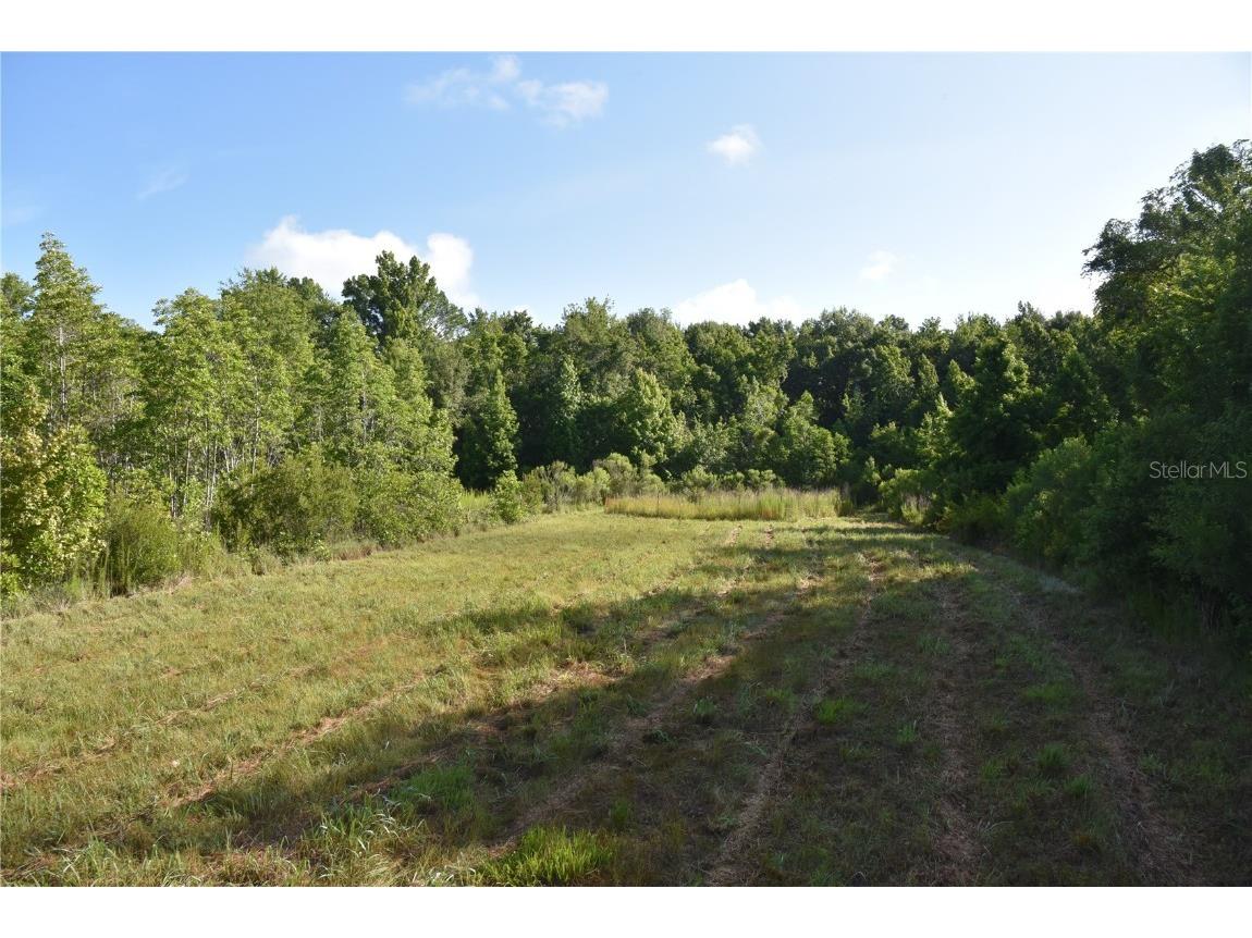 Off Ne 67 Th Ave Gainesville FL 32609 OM704545 image11