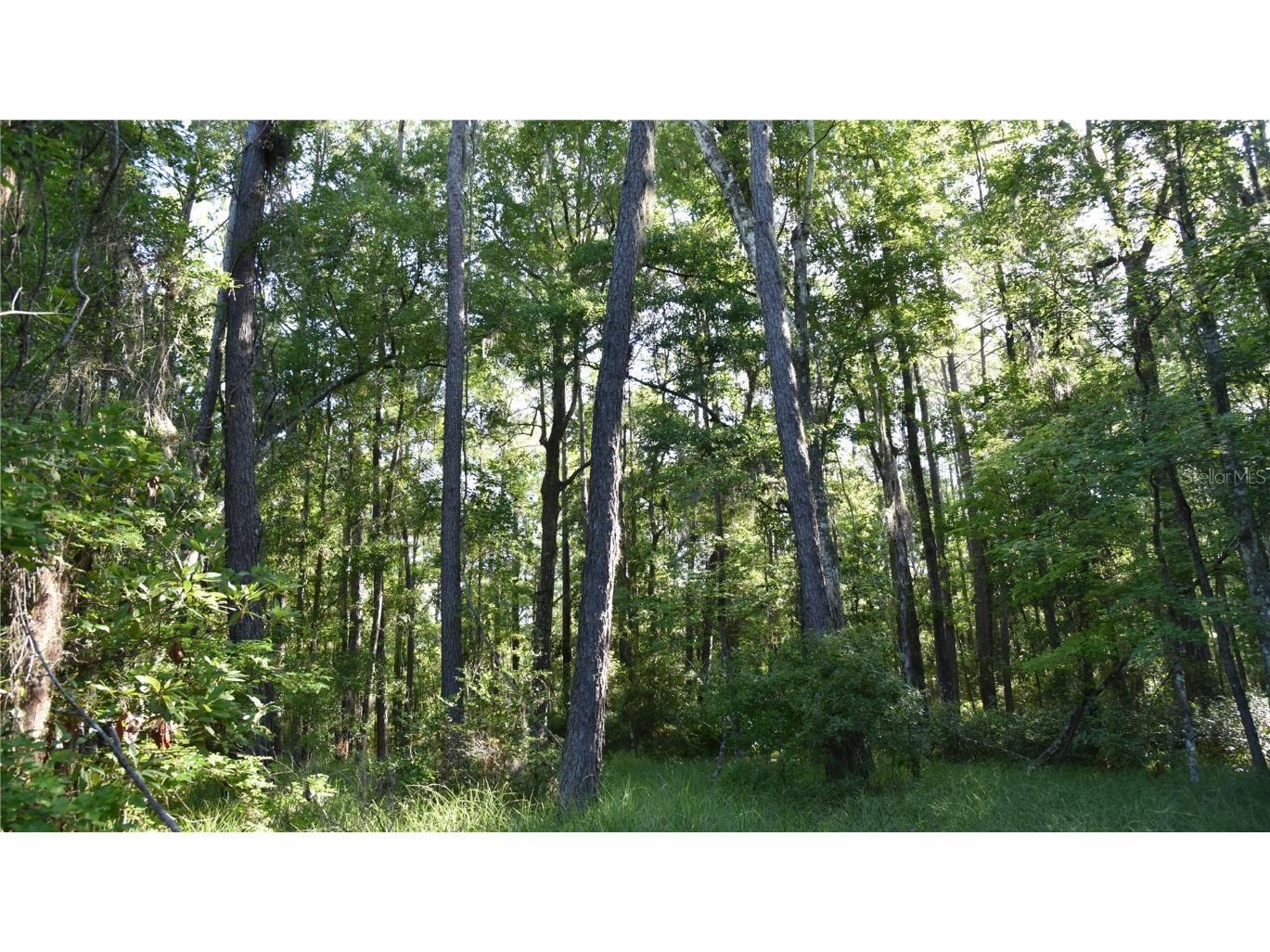 Off Ne 67 Th Ave Gainesville FL 32609 OM704545 image15