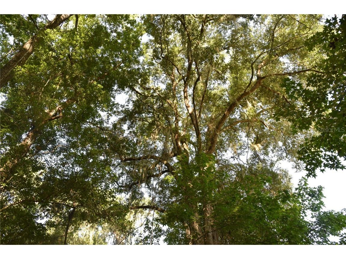 Off Ne 67 Th Ave Gainesville FL 32609 OM704545 image16