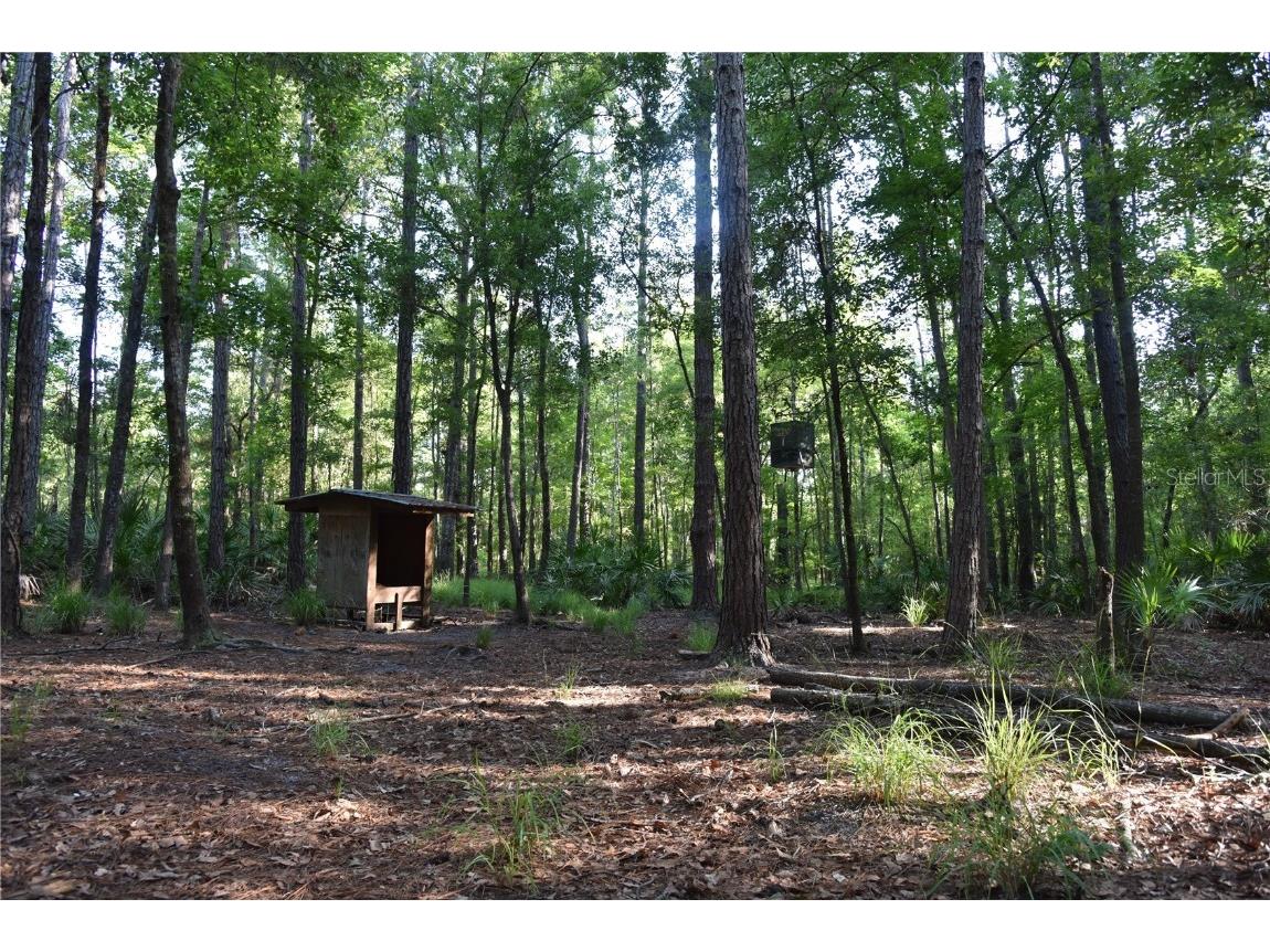 Off Ne 67 Th Ave Gainesville FL 32609 OM704545 image18