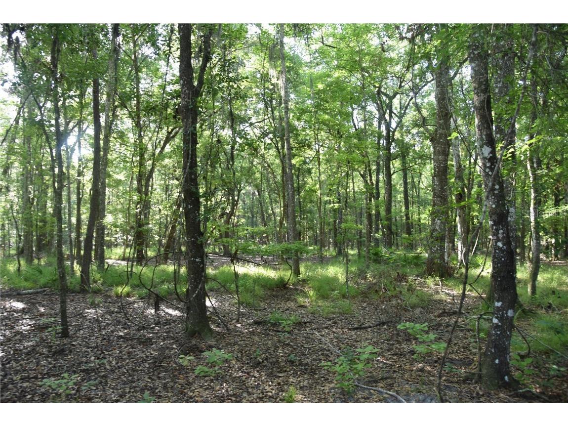 Off Ne 67 Th Ave Gainesville FL 32609 OM704545 image19