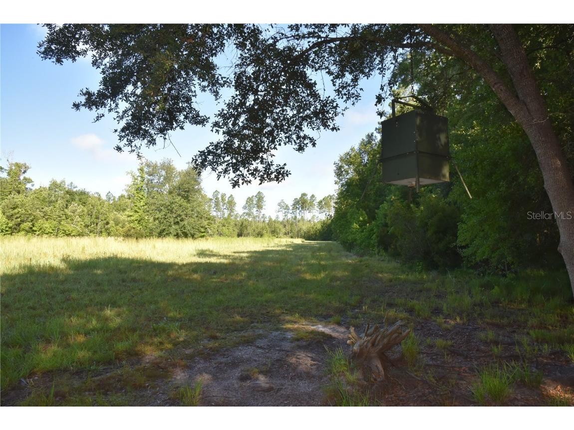 Off Ne 67 Th Ave Gainesville FL 32609 OM704545 image20