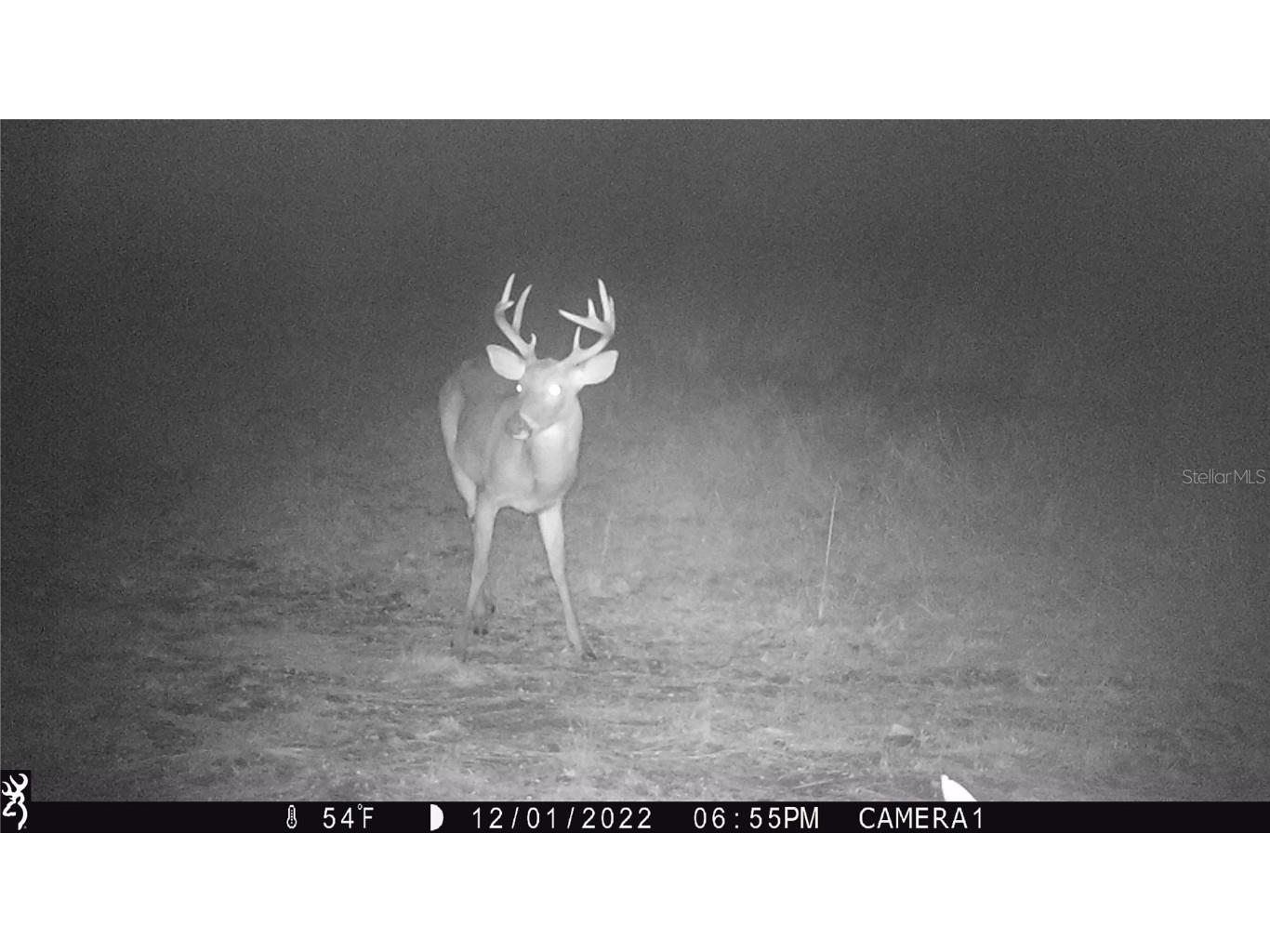 Off Ne 67 Th Ave Gainesville FL 32609 OM704545 image34