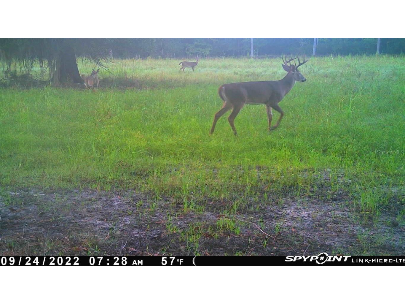 Off Ne 67 Th Ave Gainesville FL 32609 OM704545 image35