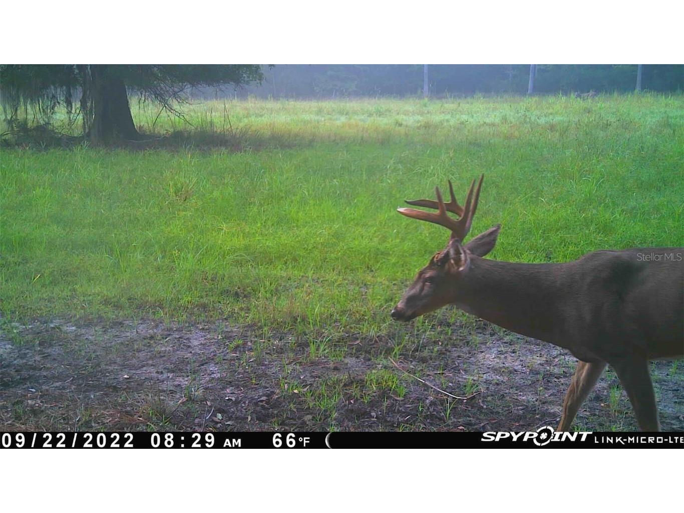 Off Ne 67 Th Ave Gainesville FL 32609 OM704545 image36