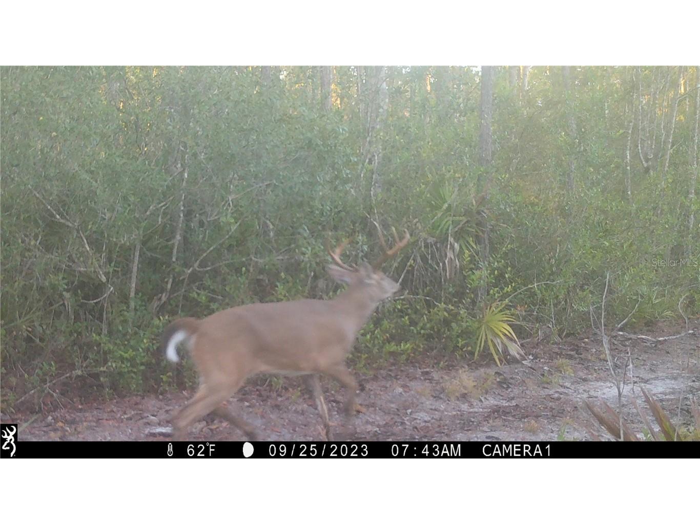 Off Ne 67 Th Ave Gainesville FL 32609 OM704545 image38