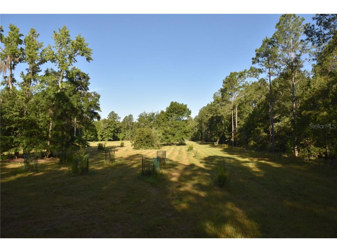 Off Ne 67 Th Ave Gainesville FL 32609 OM704545 image4