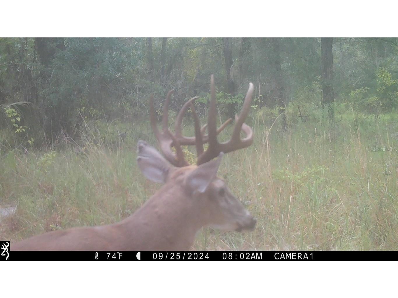 Off Ne 67 Th Ave Gainesville FL 32609 OM704545 image40