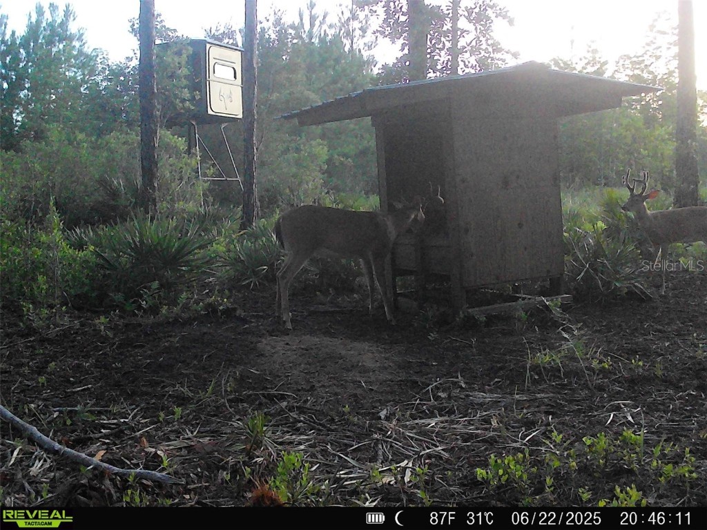 Off Ne 67 Th Ave Gainesville FL 32609 OM704545 image47