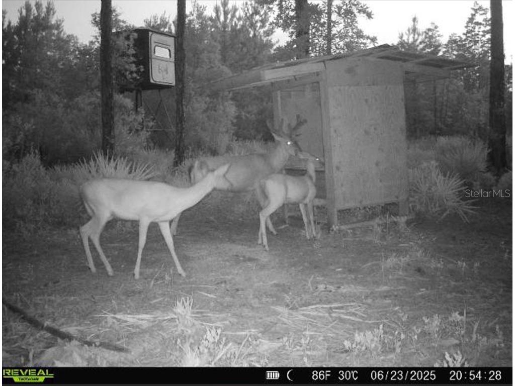 Off Ne 67 Th Ave Gainesville FL 32609 OM704545 image48