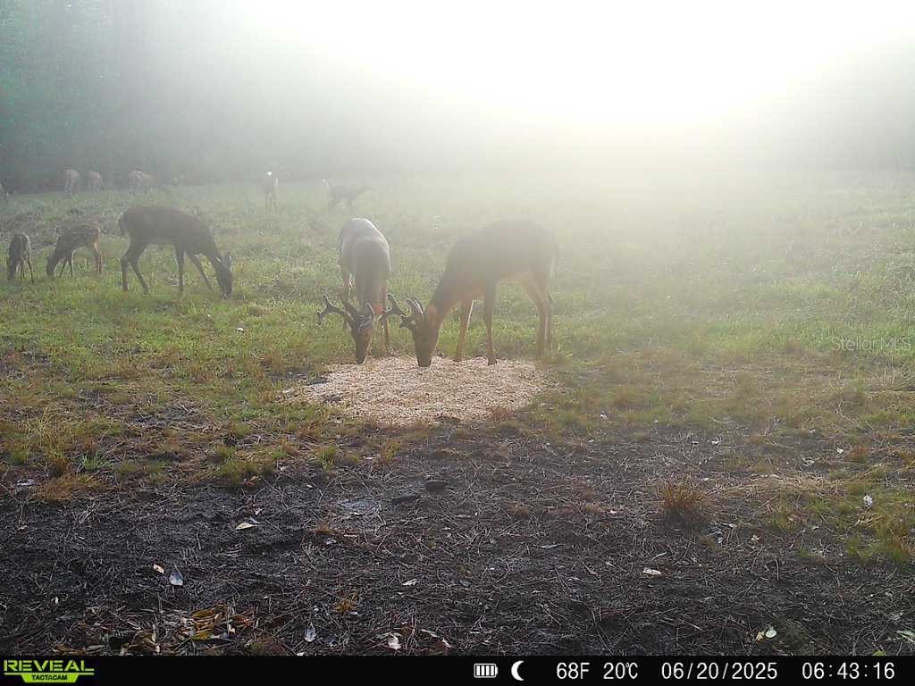 Off Ne 67 Th Ave Gainesville FL 32609 OM704545 image49