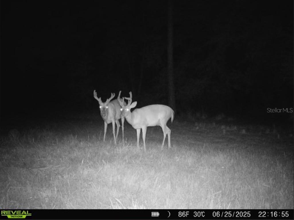 Off Ne 67 Th Ave Gainesville FL 32609 OM704545 image50