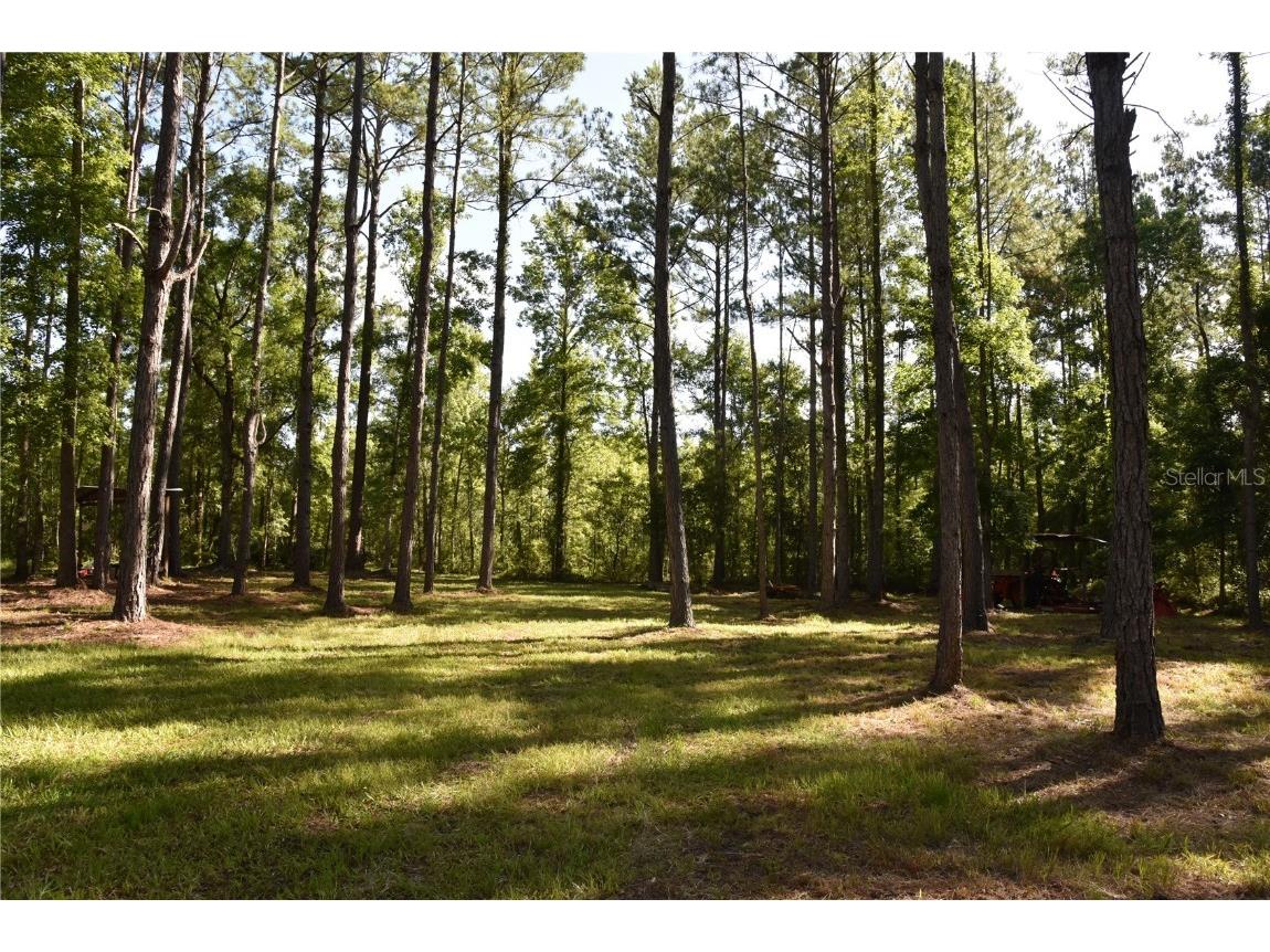 Off Ne 67 Th Ave Gainesville FL 32609 OM704545 image53