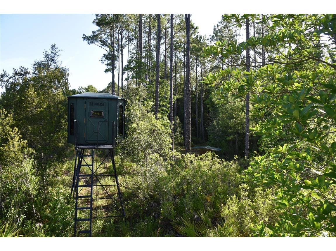 Off Ne 67 Th Ave Gainesville FL 32609 OM704545 image57