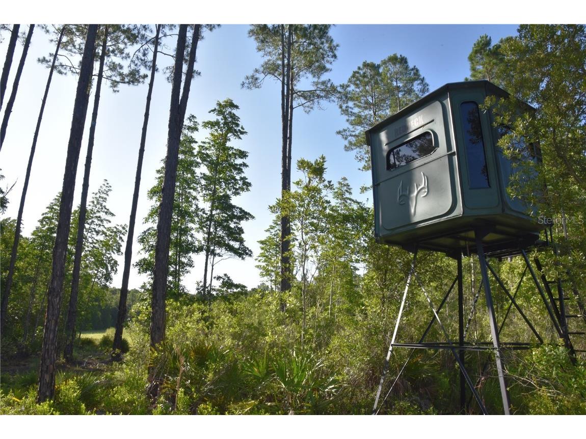 Off Ne 67 Th Ave Gainesville FL 32609 OM704545 image58