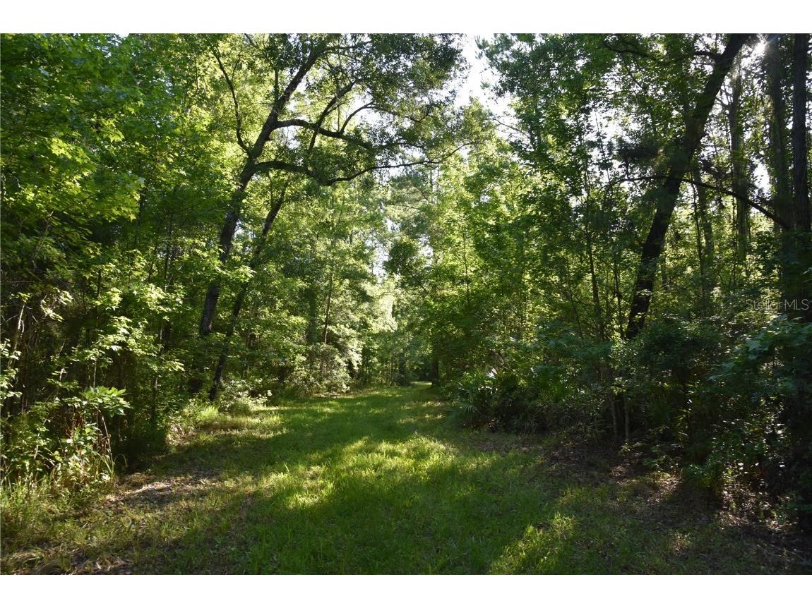 Off Ne 67 Th Ave Gainesville FL 32609 OM704545 image59