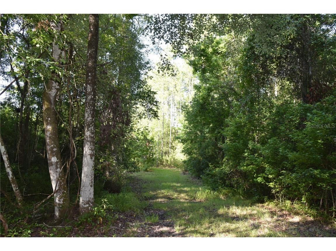 Off Ne 67 Th Ave Gainesville FL 32609 OM704545 image60