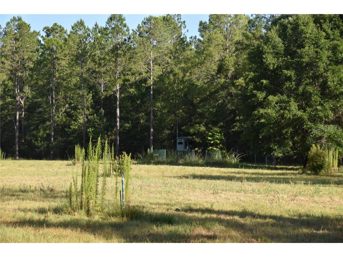 Off Ne 67 Th Ave Gainesville FL 32609 OM704545 image61