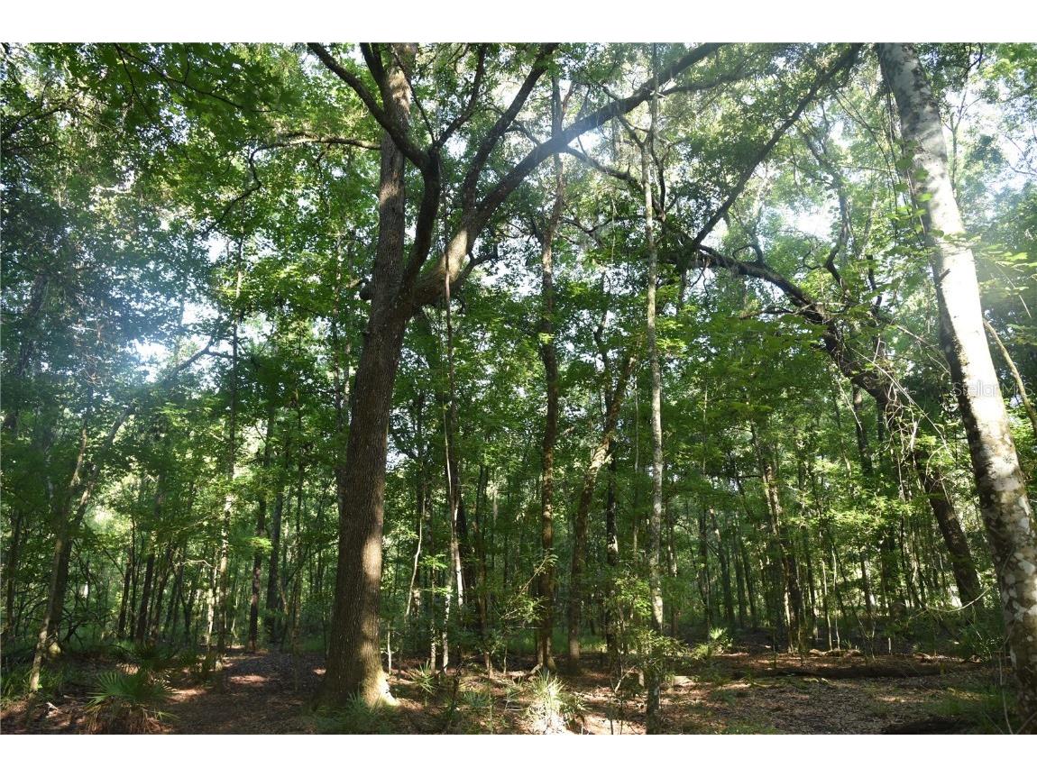 Off Ne 67 Th Ave Gainesville FL 32609 OM704545 image62