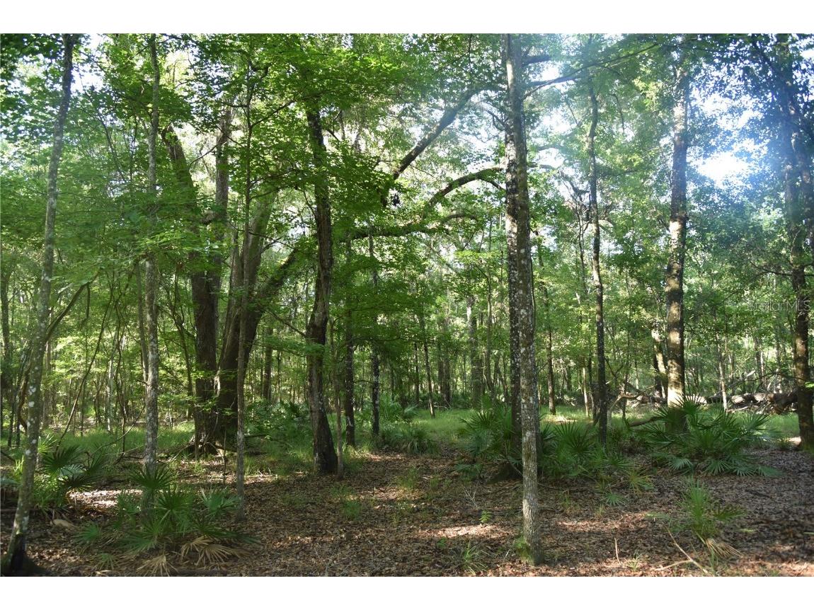 Off Ne 67 Th Ave Gainesville FL 32609 OM704545 image63